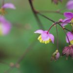 注册派彩娱乐账号的优势与注意事项,助你玩得更开心 ai9e3d6dgt