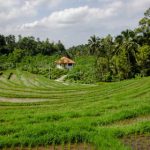 沙龙娱乐活动推荐:提升你的社交技巧与品位 k8tw3oh