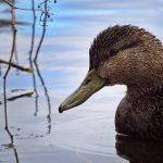 沙龙赌场的文化氛围:体验奢华与刺激的夜生活 r8ngw3