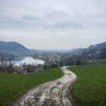 2025年第084期3D彩票开奖结果查询与号码公布 0ul1gw3z1j