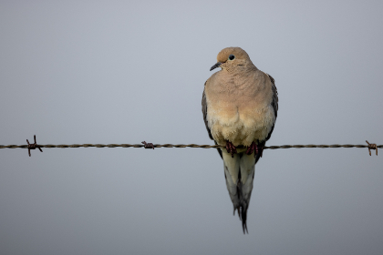 2025年福彩开奖号码全记录与趋势分析