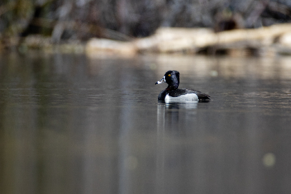 2025年第188期开奖结果最新公布 2025年第188期开奖结果最新公布