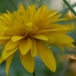 2025年最新彩票开奖时间表及详细查询指南 34zo3zd6m