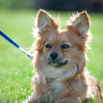 2025年相色球最新开奖结果与号码查询 6lta9o92