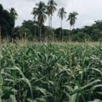 HD直播台:高清画质畅享精彩赛事与娱乐盛宴 7476hyg7