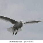 HBO官方高清直播平台入口地址及最新观看指南 diuyny8