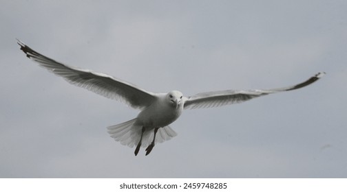 HBO官方高清直播平台入口地址及最新观看指南 HBO官方高清直播平台入口地址及最新观看指南