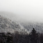 GTv直播中心:全方位高清赛事直播平台 m4b4ej9ht