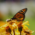 GTV综合台高清直播在线观看与节目导视 sx524lp8