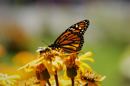GTV综合台高清直播在线观看与节目导视 GTV综合台高清直播在线观看与节目导视