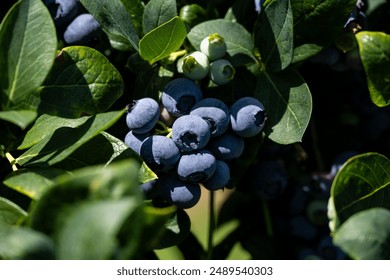 HTV5直播在线观看,精彩节目实时放送 HTV5直播在线观看,精彩节目实时放送