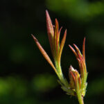 2025年香港开奖日精彩瞬间与获奖号码揭晓 vkyum