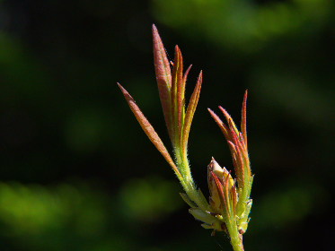 2025年香港开奖日精彩瞬间与获奖号码揭晓 2025年香港开奖日精彩瞬间与获奖号码揭晓