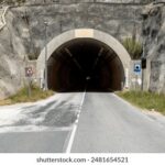 2025年福彩开奖直播特别节目正式开启 wt0uva1