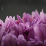 2025年福利彩票第128期开奖结果正式公布 y2aenmgk8j